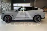 2024 BMW X6