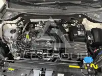 2024 Cupra Other