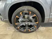 2024 Cupra Other