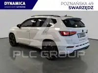 2024 Cupra Other