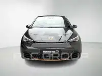 2024 Cupra Born