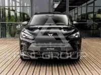 2024 Cupra Other