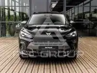 2024 Cupra Other