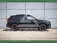 2024 Cupra Other