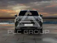 2024 Cupra Other