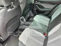2024 Skoda Octavia