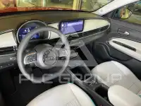 2024 Fiat 600