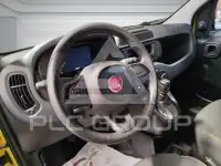 2024 Fiat Panda