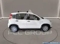 2024 Fiat Panda
