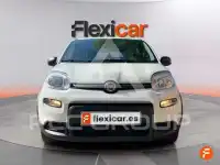 2024 Fiat Panda