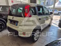 2024 Fiat Panda