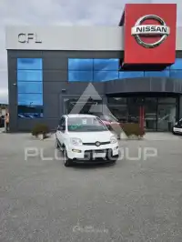 2024 Fiat Panda