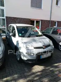 2024 Fiat Panda