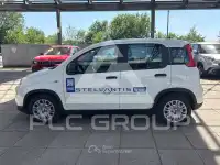 2024 Fiat Panda