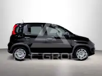 2024 Fiat Panda