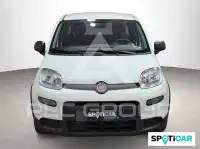 2024 Fiat Panda