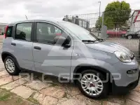 2024 Fiat Panda