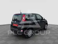 2024 Fiat Panda