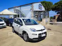 2024 Fiat Panda
