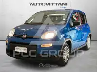 2024 Fiat Panda