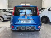 2024 Fiat Panda
