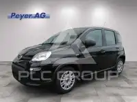 2024 Fiat Panda