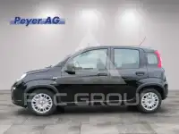 2024 Fiat Panda