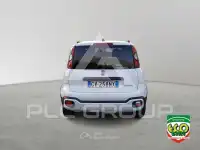 2024 Fiat Panda