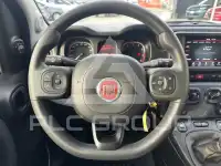 2024 Fiat Panda