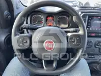 2024 Fiat Panda