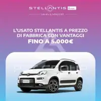 2024 Fiat 600