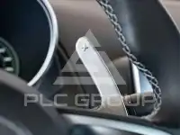 2024 Alpina A110