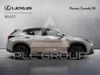 2024 Lexus NX