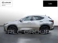 2024 Lexus NX