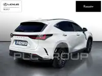 2024 Lexus NX