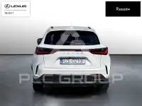 2024 Lexus NX