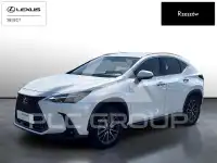 2024 Lexus NX