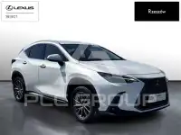 2024 Lexus NX