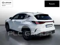 2024 Lexus NX