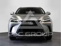 2024 Lexus NX