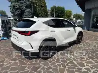 2024 Lexus NX