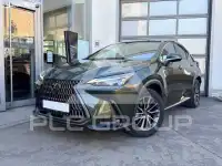 2024 Lexus NX