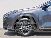 2024 Lexus NX