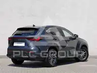 2024 Lexus NX