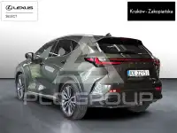 2024 Lexus NX