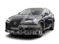 2024 Lexus NX