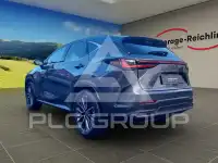 2024 Lexus NX