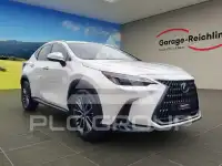 2024 Lexus NX