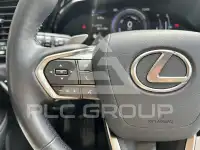 2024 Lexus NX