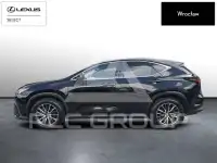 2024 Lexus NX